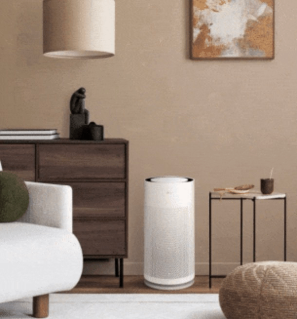 Slim and Sleek Design — LG PuriCare AeroHit